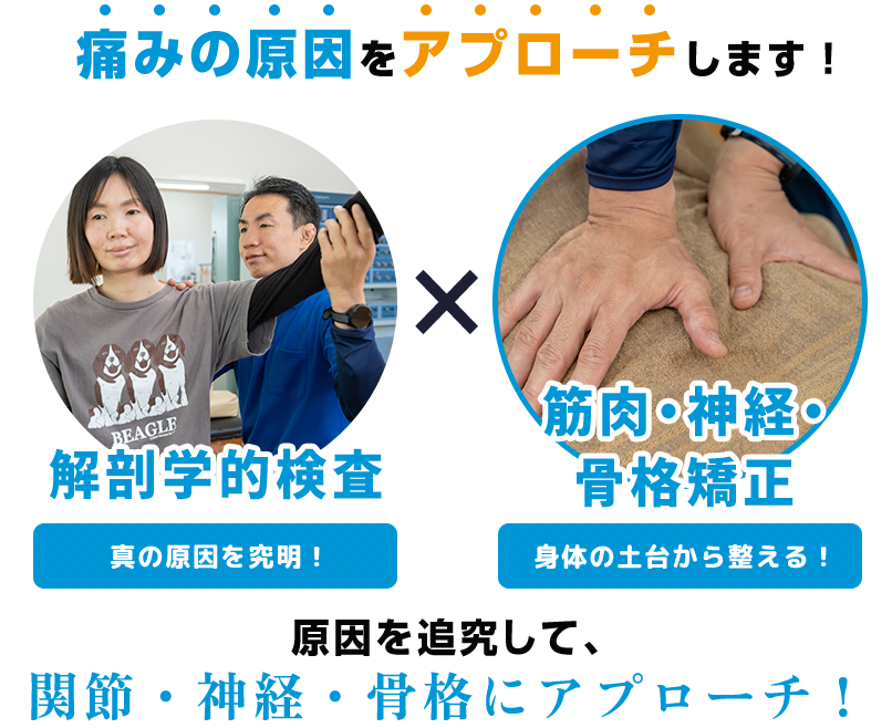 解剖学的検査×筋肉・神経・骨格矯正