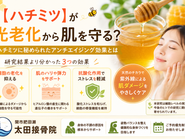 ハチミツが紫外線による肌老化を防ぐ？注目されるアンチエイジング効果とは